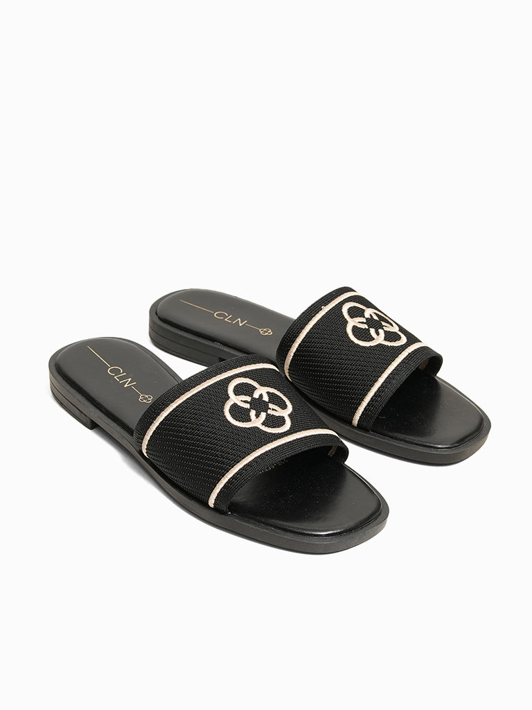 Oceania Slides