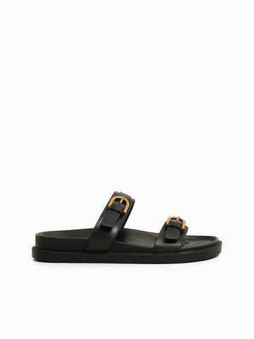 Polly Slides