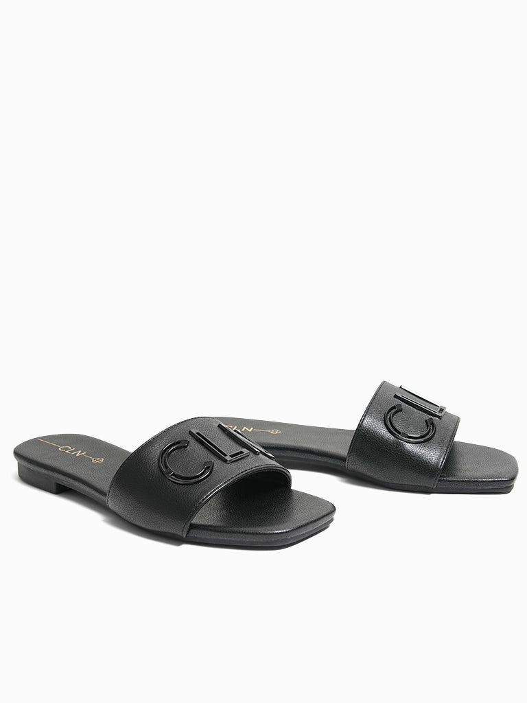 Reinhart Slides