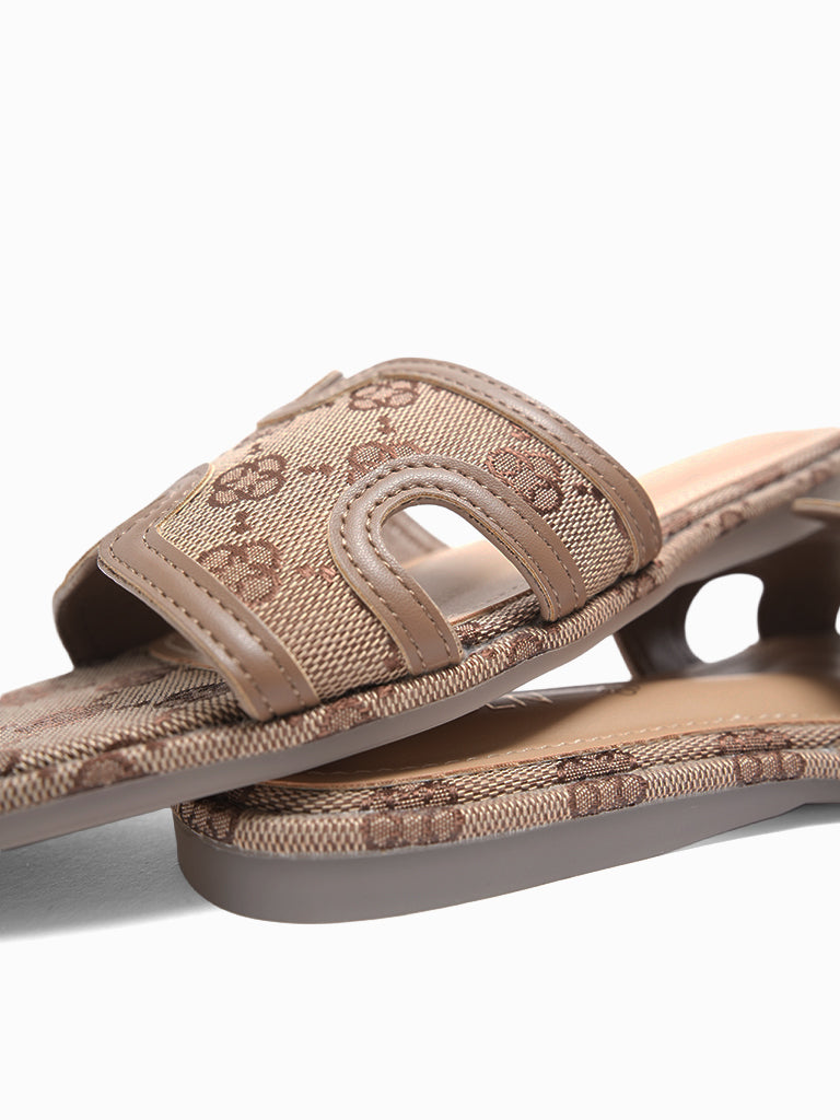Walcott Slides